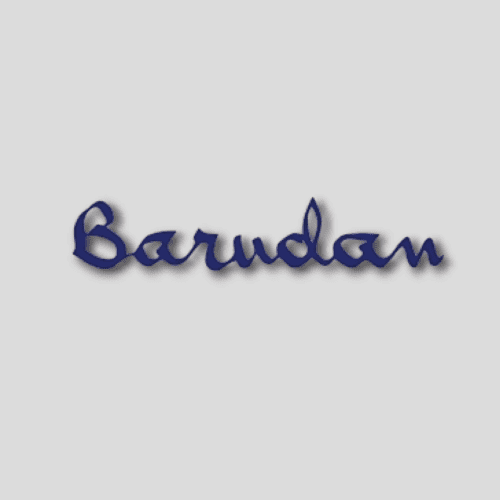 Barudan Machine Hoops